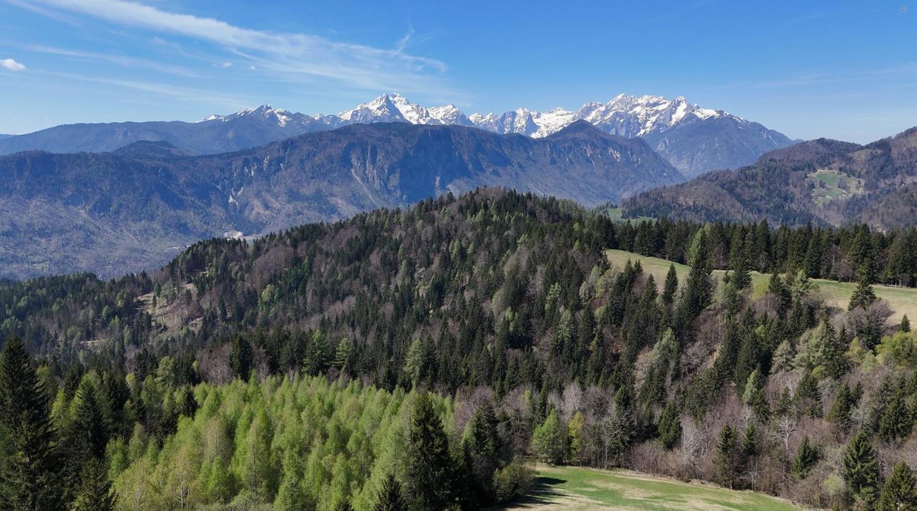 Span Cottage Jesenice Zewnętrze zdjęcie